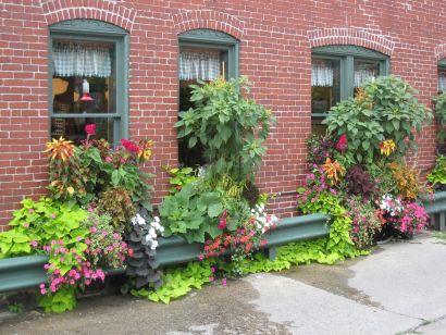 Queen City Creamery Flowers