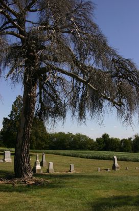 Duke's Cemetery