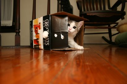 George in a Beer Box