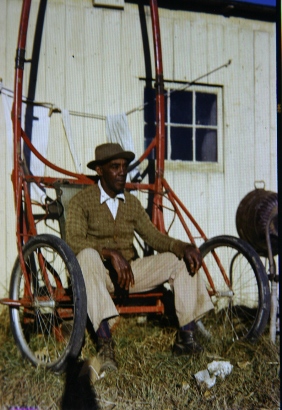 Just Sitting - Shed